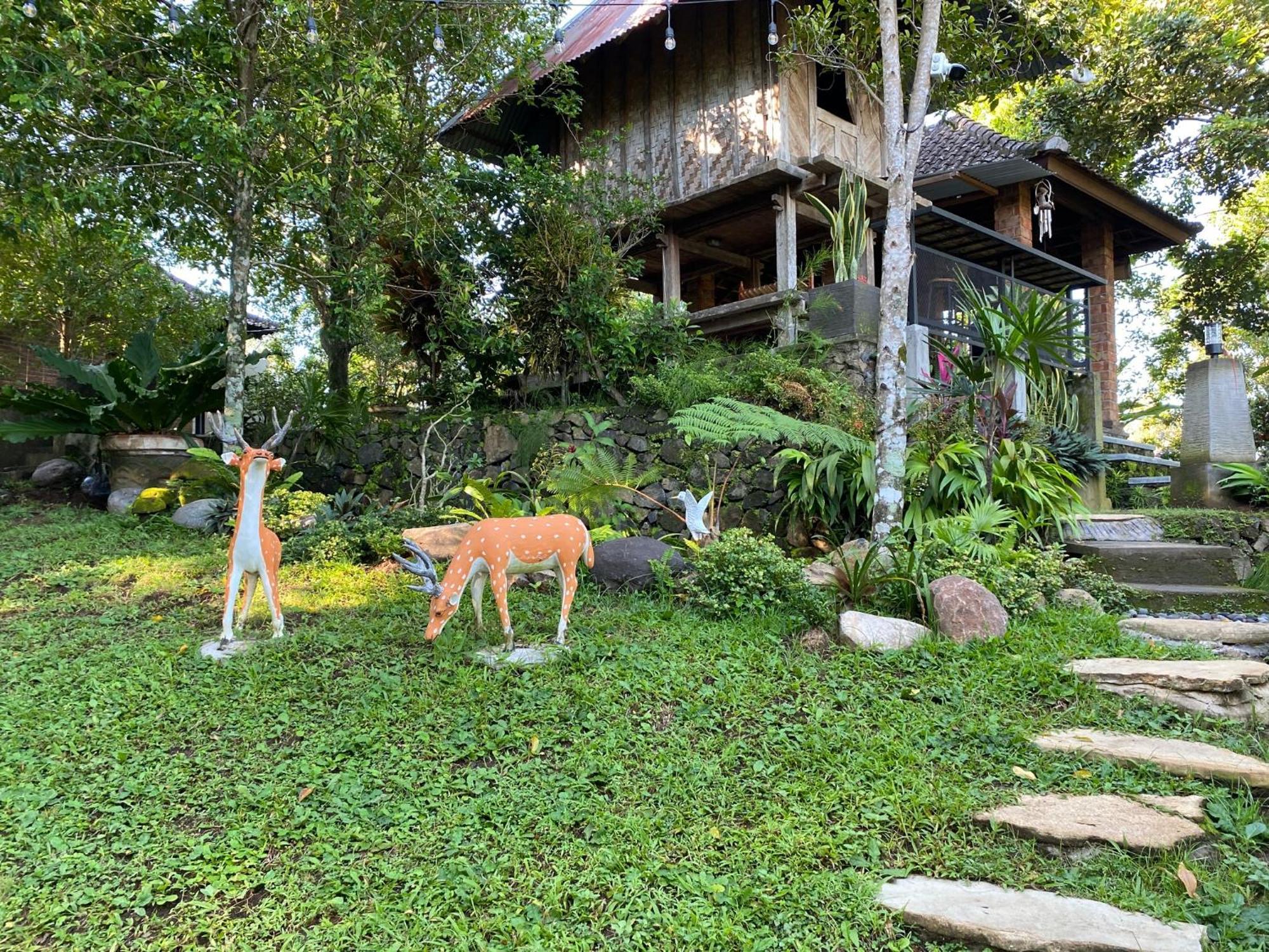 Mayong Bali Villa And Hostel Munduk Exteriör bild